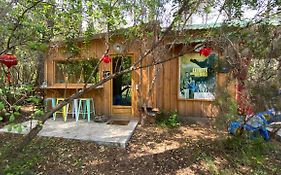 L’Aquarium de Proust sous les arbres
